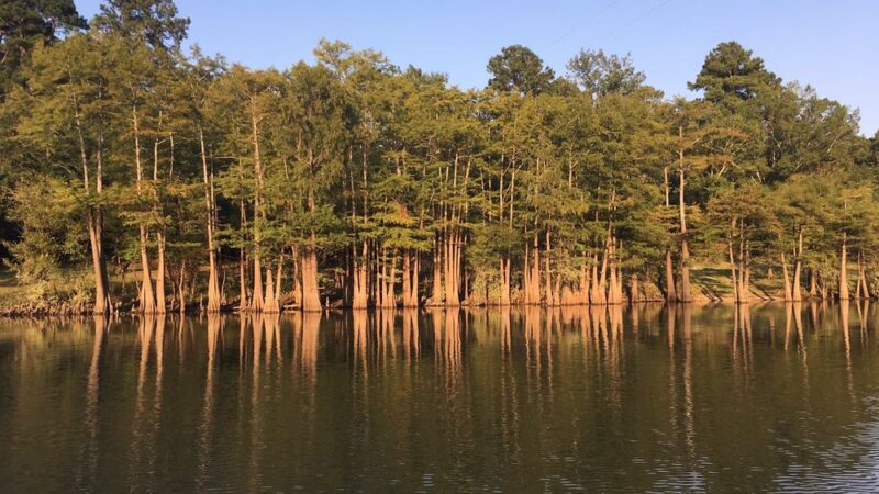 Moro Bay State Park - Jersey, AR