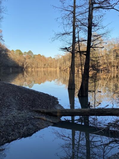Moro Bay State Park - Jersey, AR