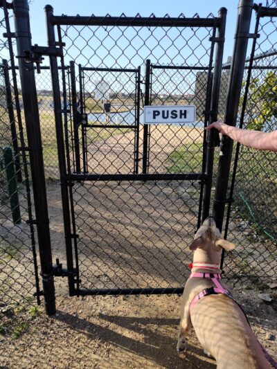 Jersey Village Dog Park - Jersey Village, TX