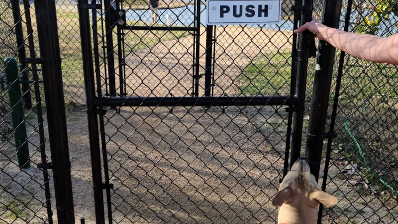 Jersey Village Dog Park - Jersey Village, TX