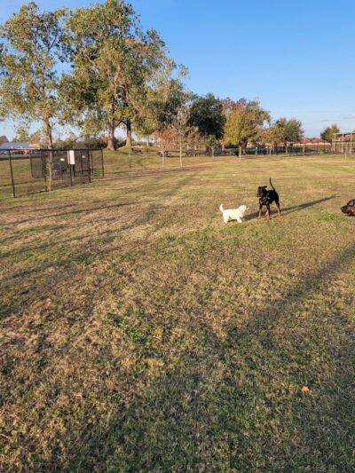 Jersey Village Dog Park - Jersey Village, TX