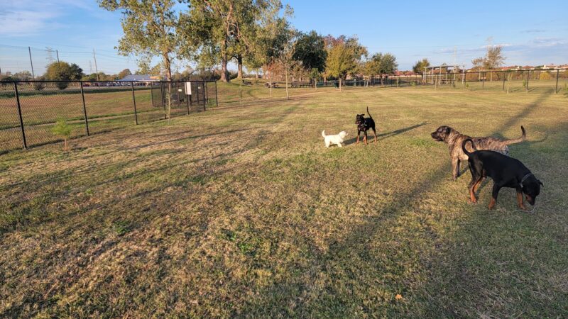 Jersey Village Dog Park - Jersey Village, TX
