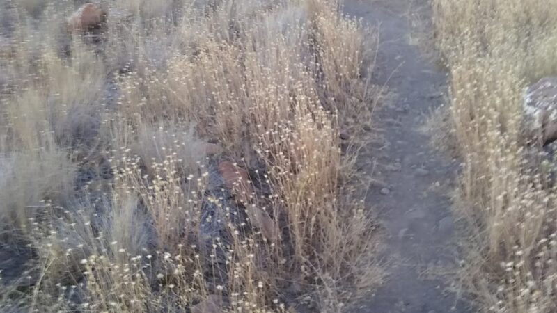 John Day bike park - John Day, OR