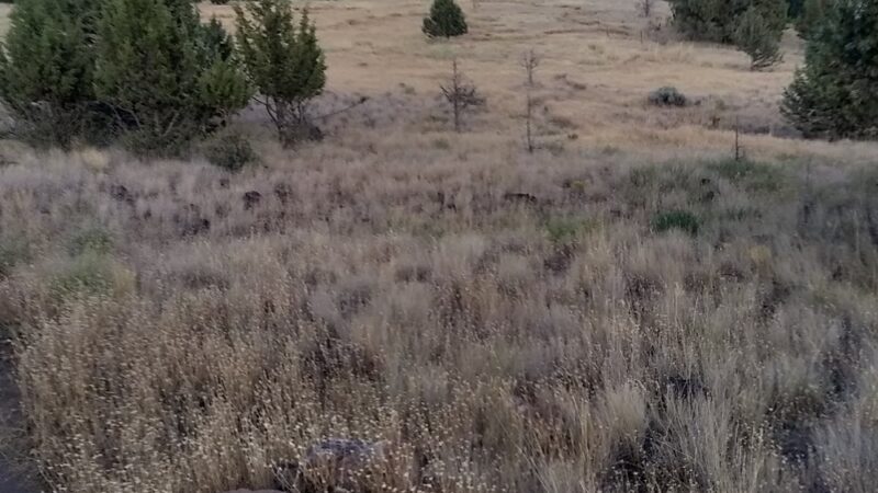 John Day bike park - John Day, OR