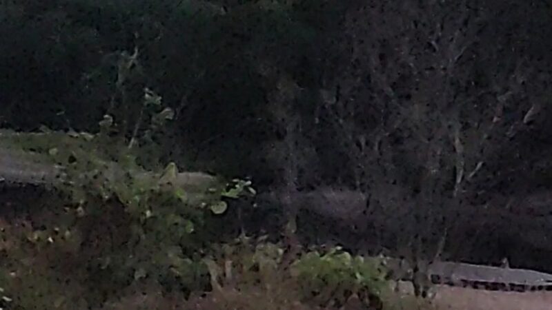 Cottonwood Shelter #4 - Johnston, IA