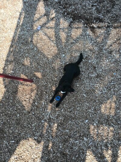 Dewey Park - Johnston, IA