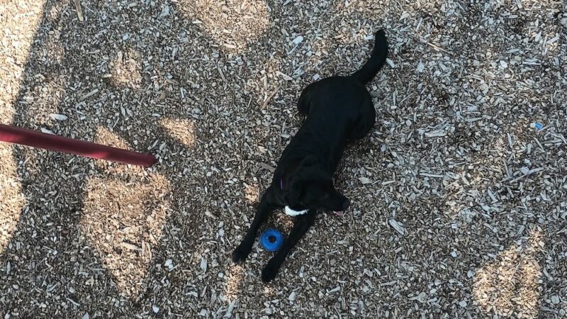 Dewey Park - Johnston, IA