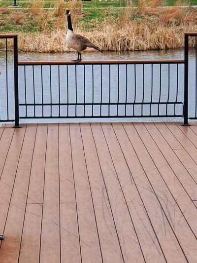 Greenwood Hills Park - Johnston, IA