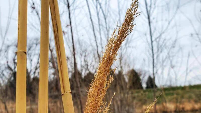 Greenwood Hills Park - Johnston, IA
