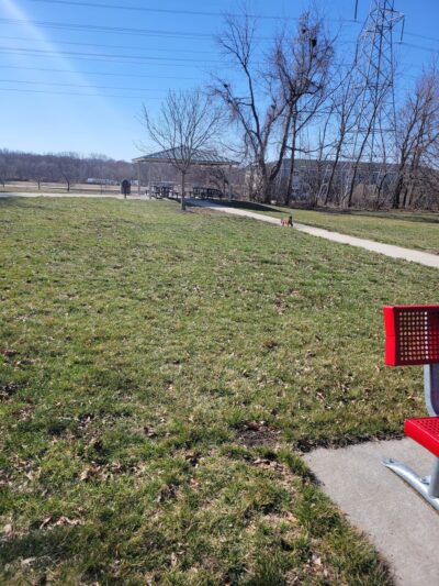 Ray Schleihs Park - Johnston, IA