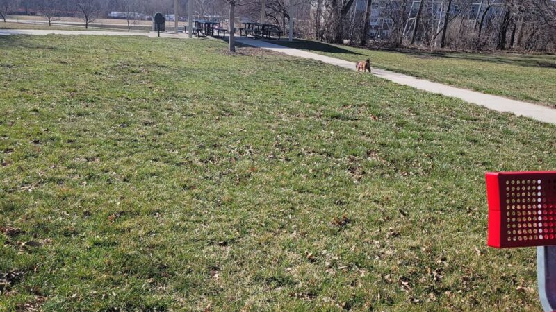 Ray Schleihs Park - Johnston, IA