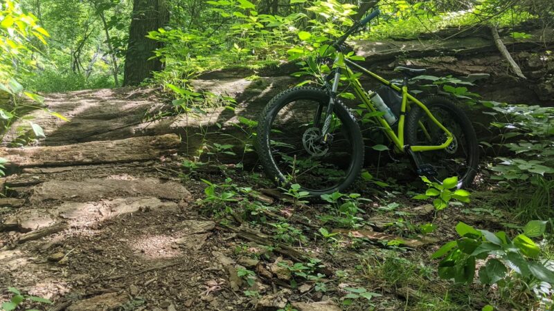 Sycamore Trails - Johnston, IA