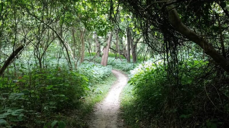 Sycamore Trails - Johnston, IA