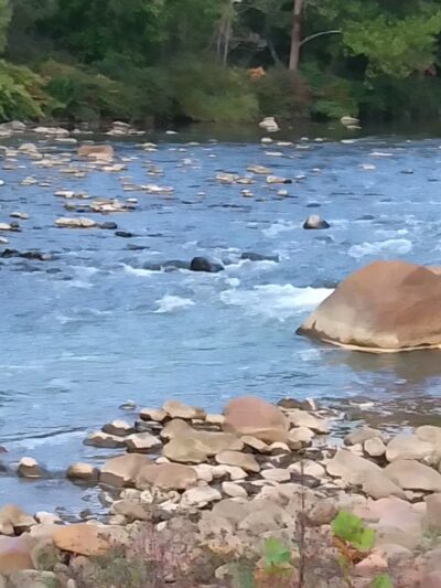 Greenhouse Park - Johnstown, PA