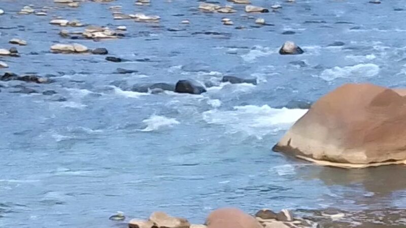 Greenhouse Park - Johnstown, PA