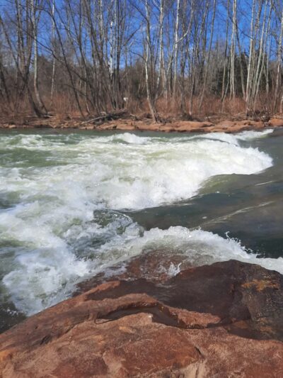 Greenhouse Park - Johnstown, PA