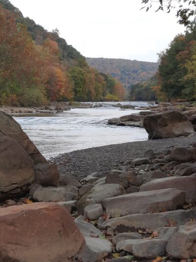 Greenhouse Park - Johnstown, PA