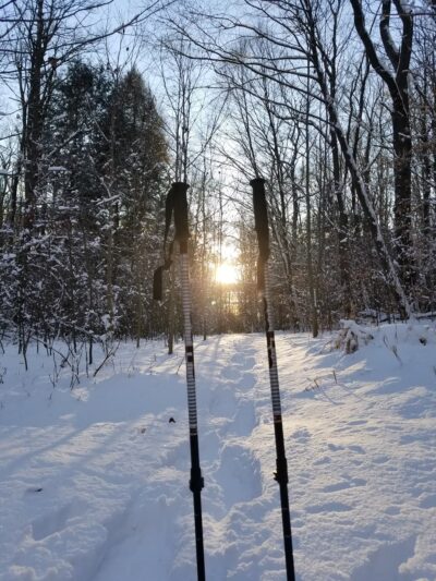 Mitchell Park - Johnstown, PA