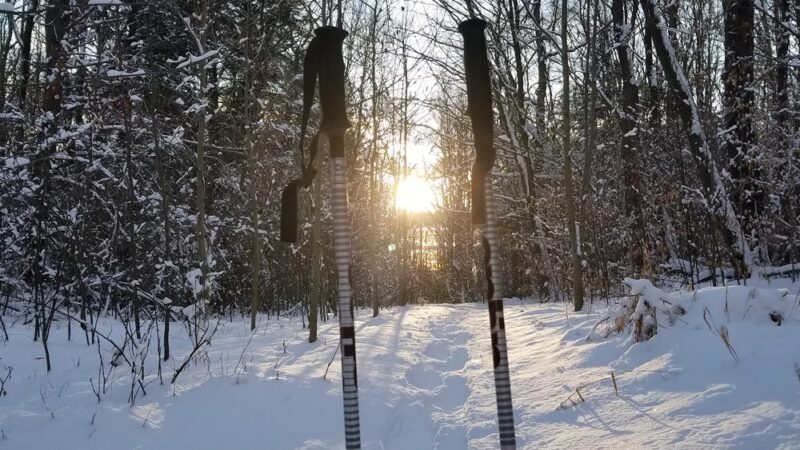 Mitchell Park - Johnstown, PA