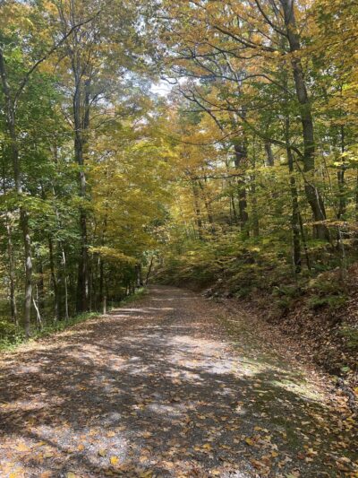 Stackhouse Park - Johnstown, PA