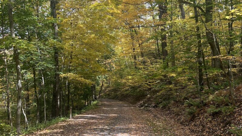 Stackhouse Park - Johnstown, PA