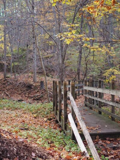 Stackhouse Park - Johnstown, PA