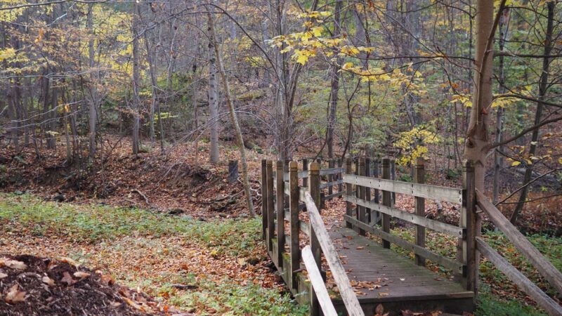 Stackhouse Park - Johnstown, PA