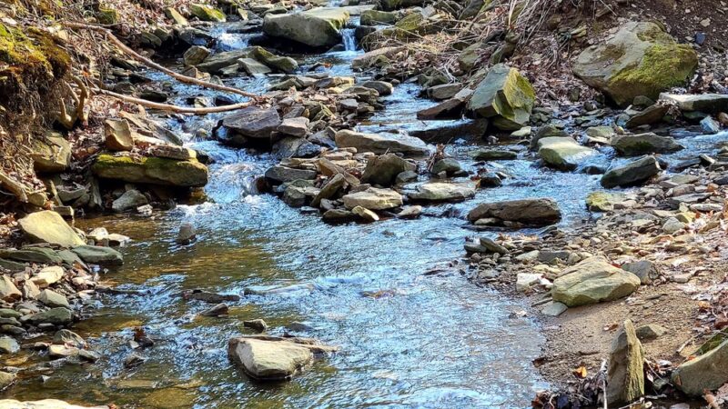 Stackhouse Park - Johnstown, PA