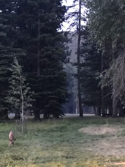 Picnic area - Joseph, OR