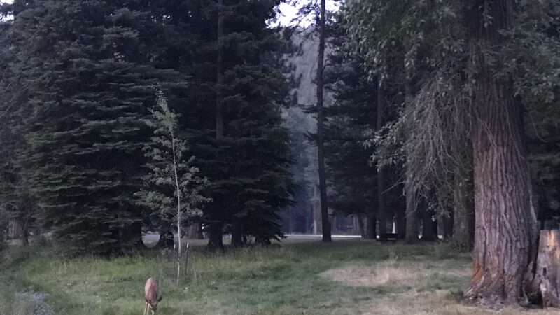 Picnic area - Joseph, OR