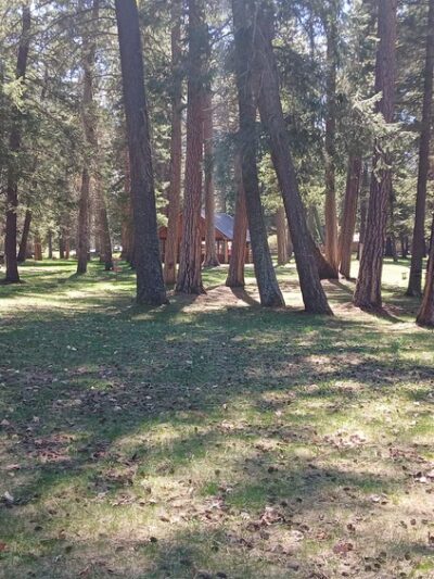 Picnic area - Joseph, OR