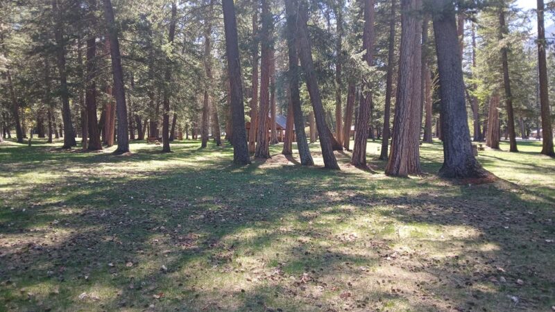Picnic area - Joseph, OR