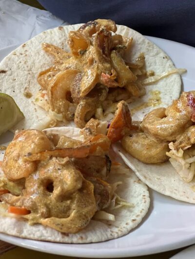 The Dog Spot - Joseph, OR