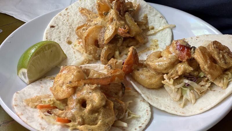 The Dog Spot - Joseph, OR