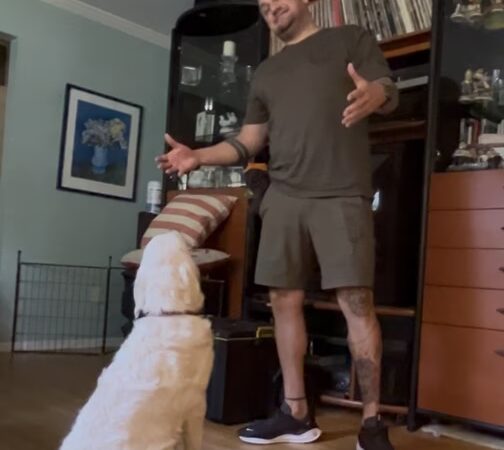 JR Doberman & Fitness Crew - ,