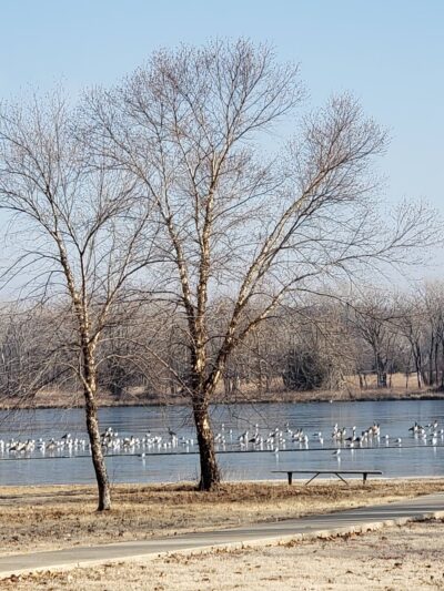 Gathering Pond Beach - Junction City, KS