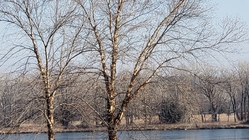 Gathering Pond Beach - Junction City, KS