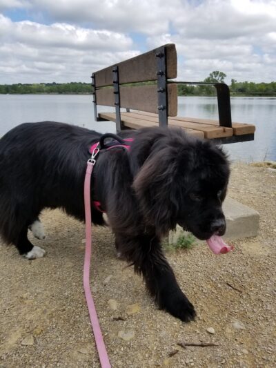 Gathering Pond Beach - Junction City, KS