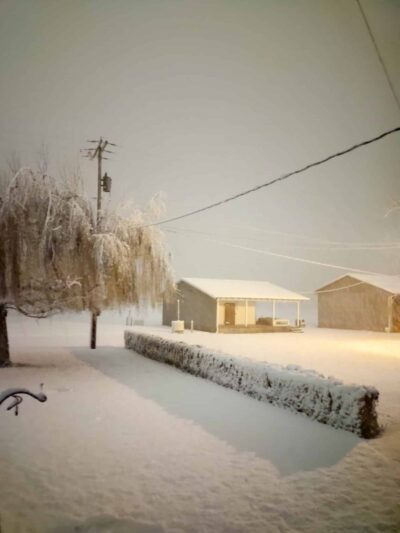 Junction City - Junction City, OR