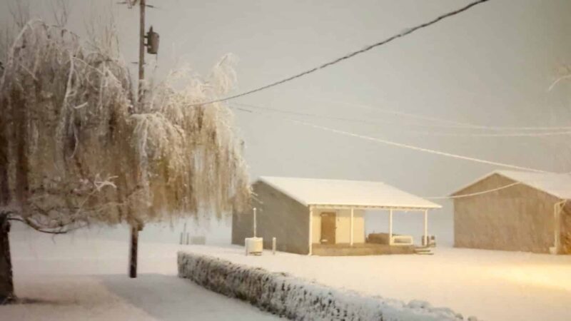 Junction City - Junction City, OR