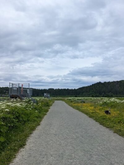 Airport Hiking Trail - Juneau, AK