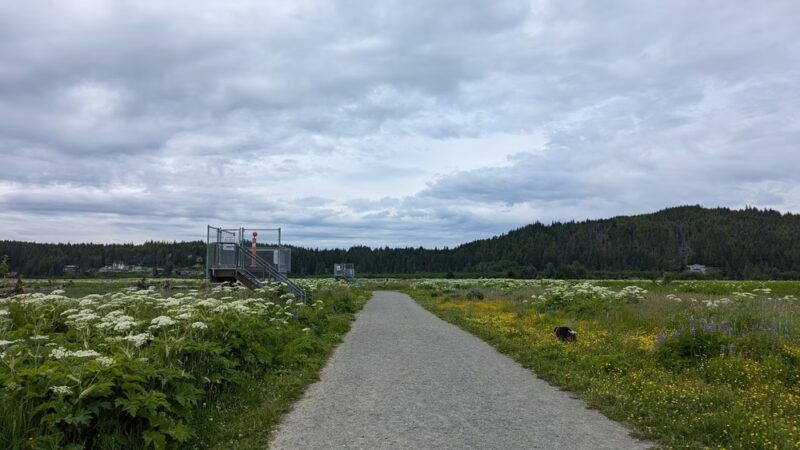 Airport Hiking Trail - Juneau, AK