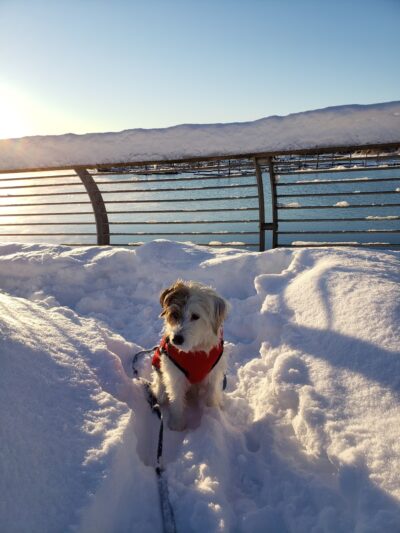 Auke Bay Park - Juneau, AK