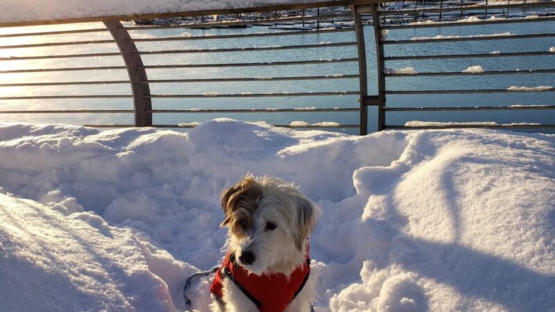Auke Bay Park - Juneau, AK