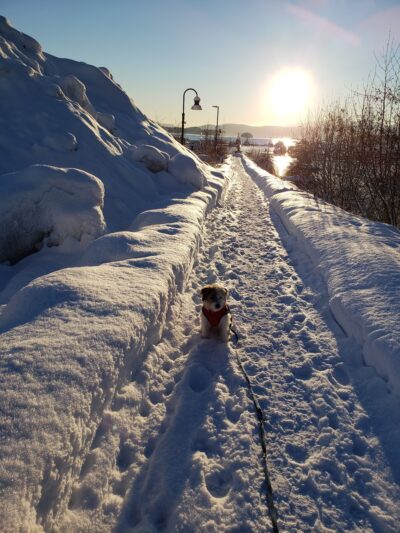 Auke Bay Park - Juneau, AK