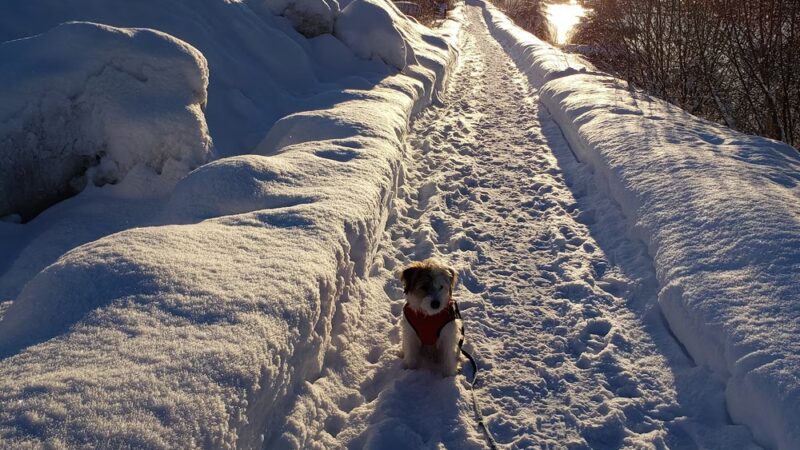 Auke Bay Park - Juneau, AK