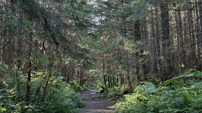 Blueberry Trail - Juneau, AK