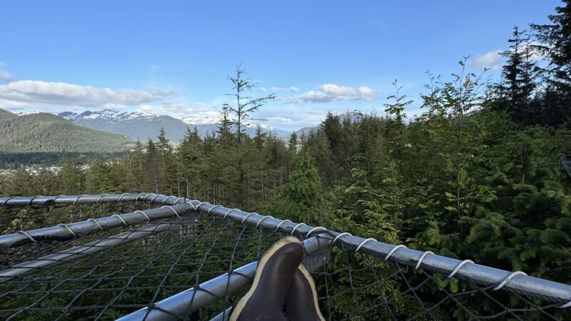 Blueberry Trail - Juneau, AK