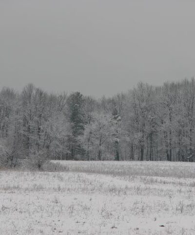 Melvin Park - Juneau, AK
