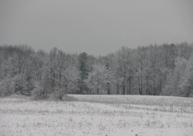 Melvin Park - Juneau, AK